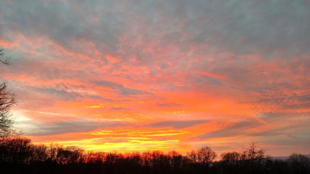 Expert residential landscaping for year-round maintenance across Saratoga Springs, NY - Joe’s Landscaping