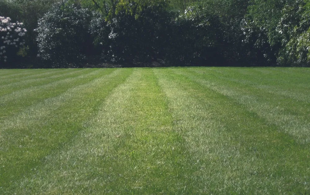 Local garden landscaping experts serving Houston, TX - Joe's Lawn & Landscaping Services