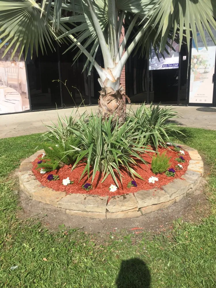 Expert yard cleanup service in Houston, TX by Joe's Lawn & Landscaping Services