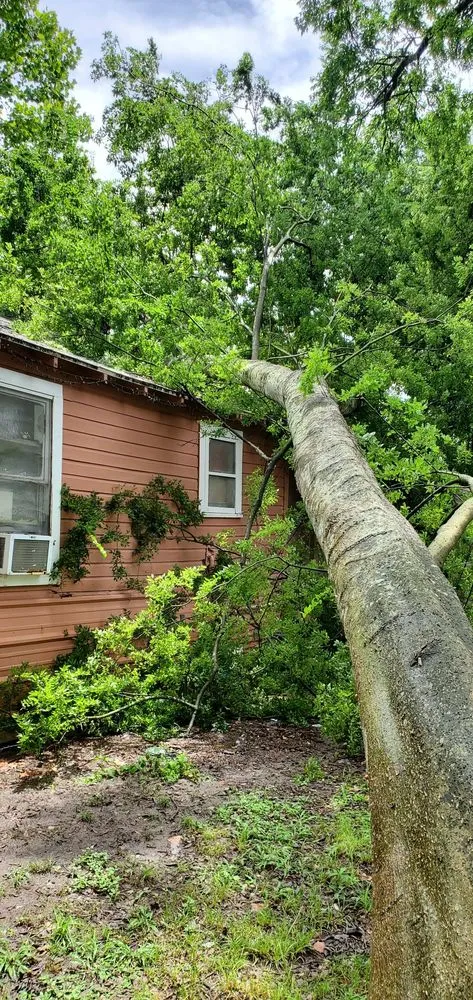 Expert landscape design in Houston, TX - Joe's Lawn & Landscaping Services