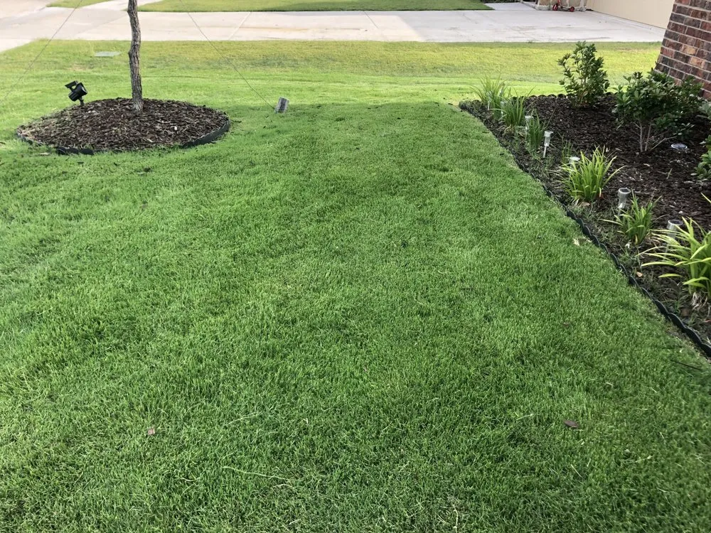 Top-rated garden landscaping in Josephine, TX by Joe’s Lawn and Tree Service