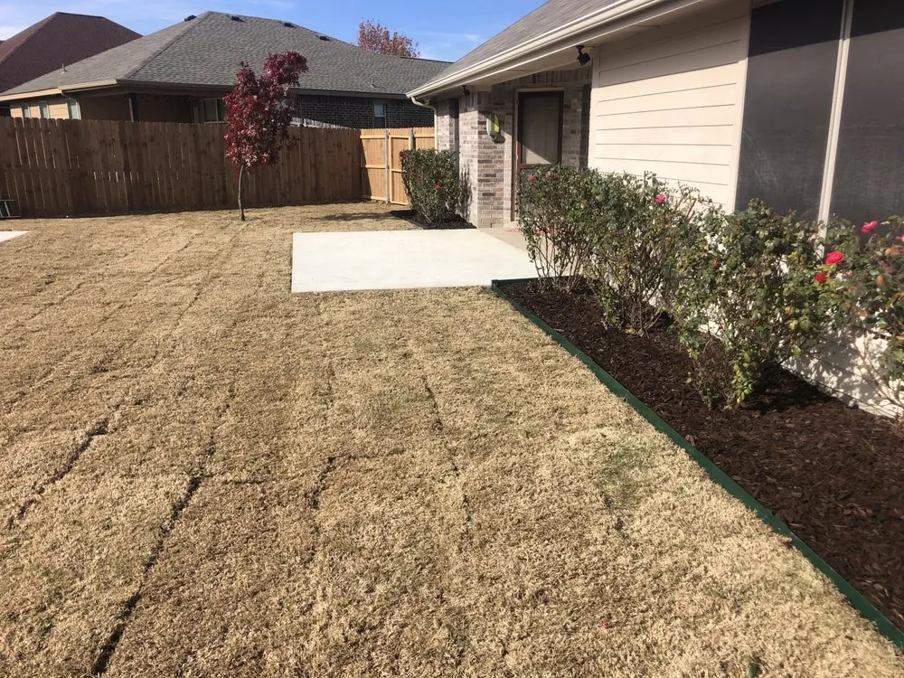 Affordable lawn care service for outdoor upgrades across Josephine, TX - Joe’s Lawn and Tree Service