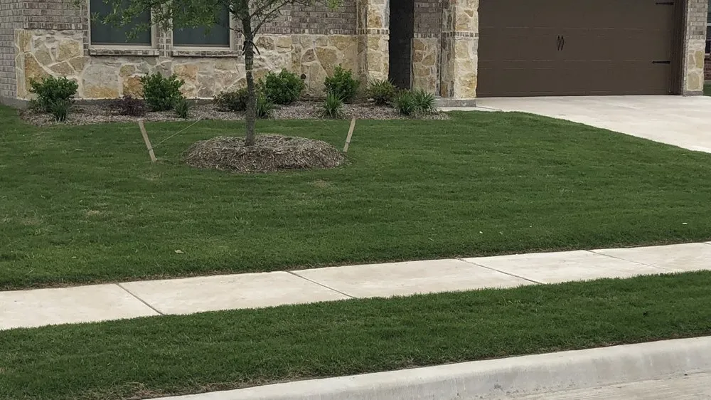 Expert lawn mowing service for year-round maintenance across Josephine, TX - Joe’s Lawn and Tree Service
