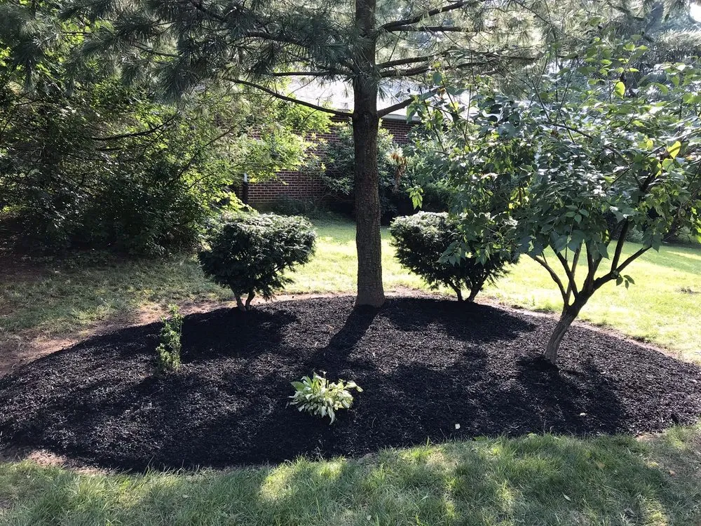 Custom lawn care service in Perkasie, PA - Joe's Lawn Care & Landscape Solutions