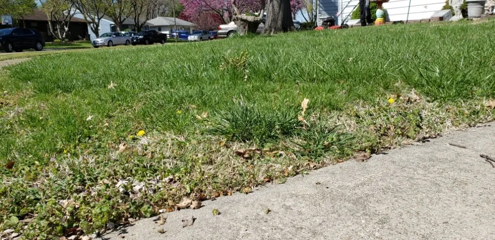 Custom garden landscaping with custom design across Granite City, IL - Joe's Lawn Care & More