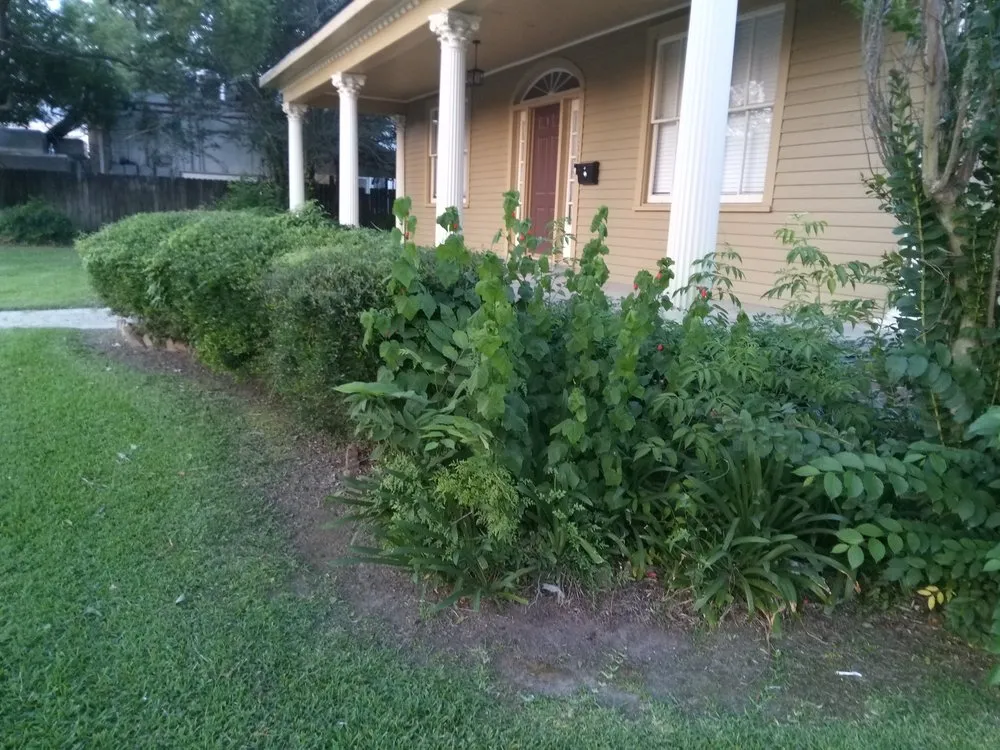 Custom landscaping services for outdoor upgrades across Lafayette, LA - Joe's Lawn Care and Handyman Services