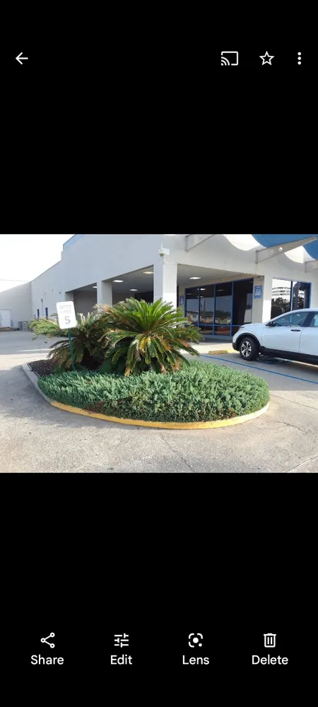 Reliable lawn mowing service in Lafayette, LA by Joe's Lawn Care and Handyman Services