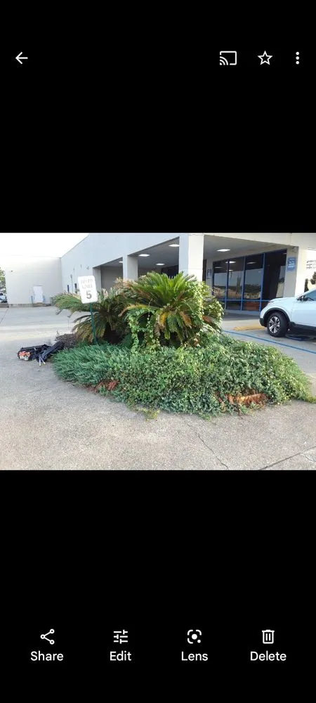 Reliable landscape installation in Lafayette, LA - Joe's Lawn Care and Handyman Services