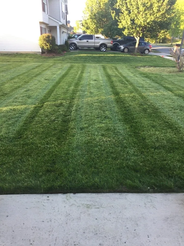 Professional landscape design for residential properties across Charlotte, NC - Joes Lawn Care