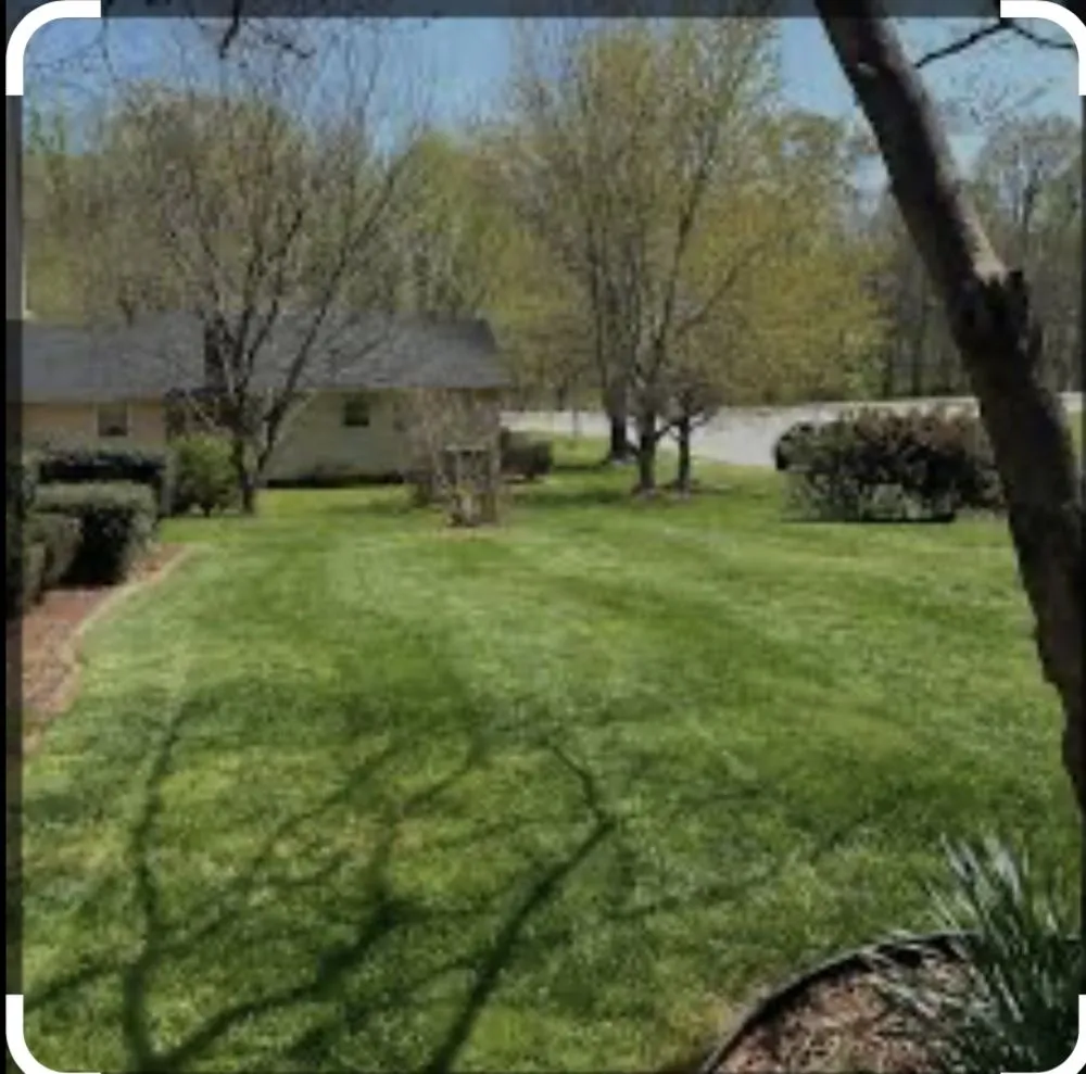 Expert yard maintenance in Charlotte, NC by Joes Lawn Care