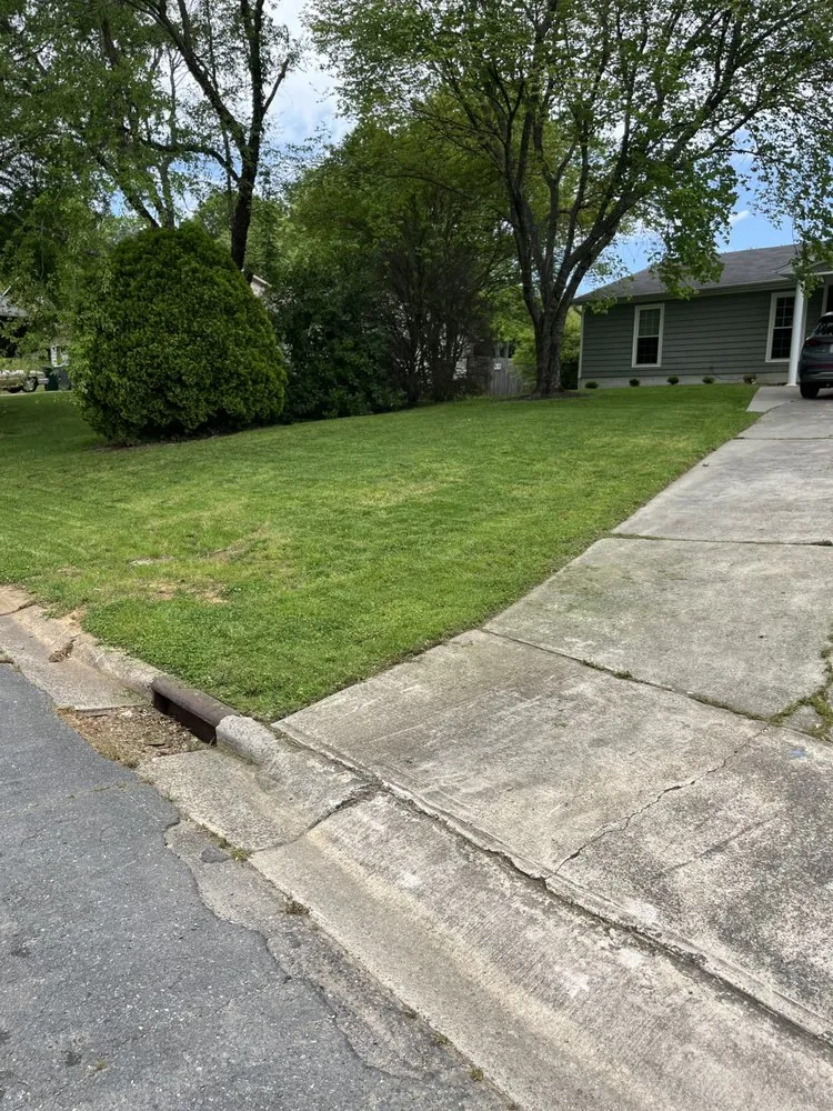 Local yard cleanup service experts serving Charlotte, NC - Joes Lawn Care