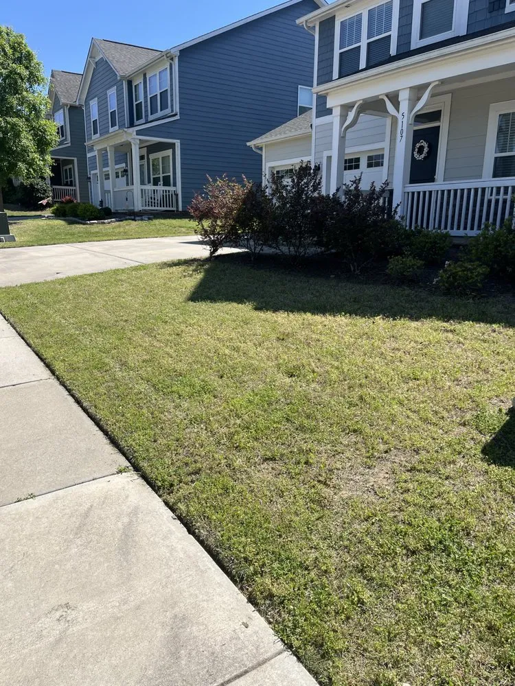 Custom lawn care service in Charlotte, NC - Joes Lawn Care