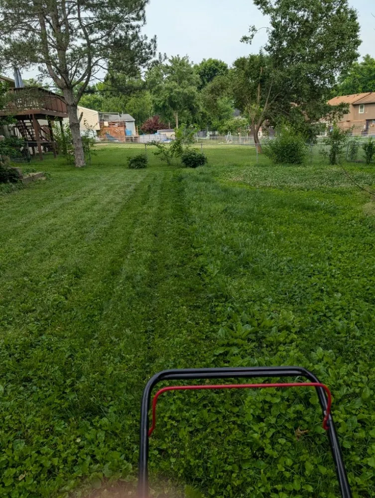 Reliable garden landscaping experts serving Desloge, MO - Joe's Lawn Care
