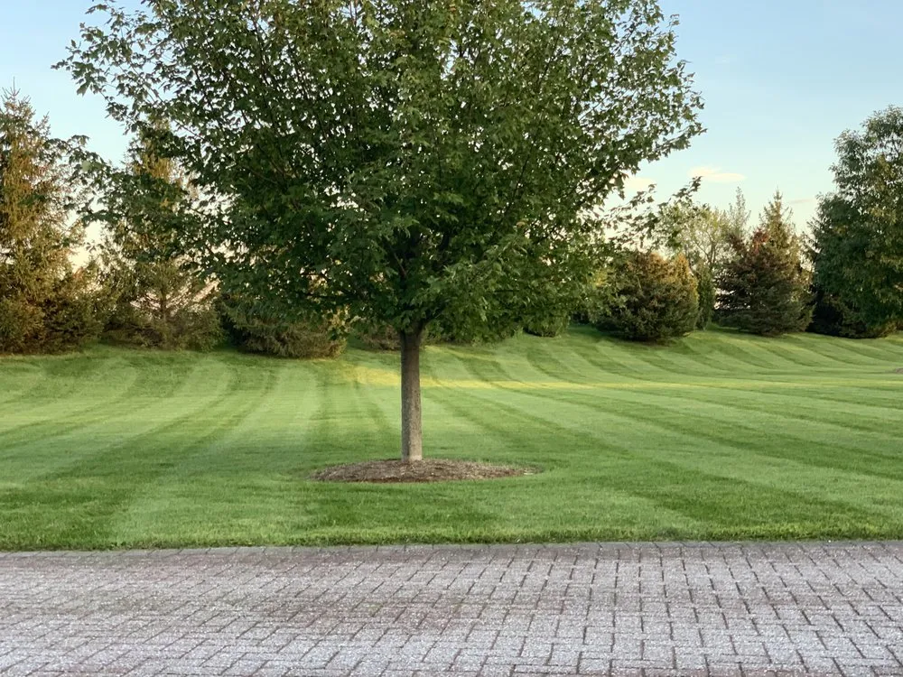 Professional yard maintenance in Isle LaMotte, VT - Joe’s Lawn Care
