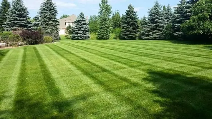 Top-rated yard maintenance experts serving Lake Orion, MI - Joe's Lawn Care