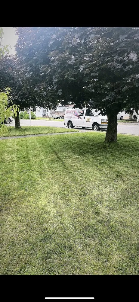 Reliable yard cleanup service in Milford, MA - Joes Lawn Care