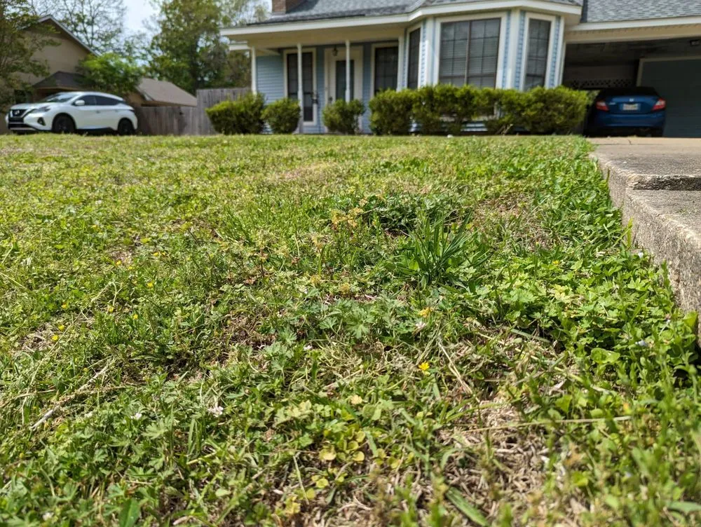 Top-rated landscape design near you across Monroe, LA - Joes Lawn Care