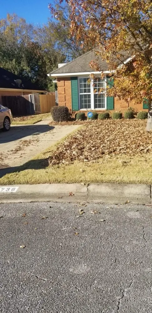 Reliable landscape design experts serving Montgomery, AL - Joe's Lawn Care