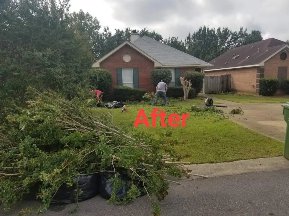 Top-rated outdoor landscaping experts serving Montgomery, AL - Joe's Lawn Care