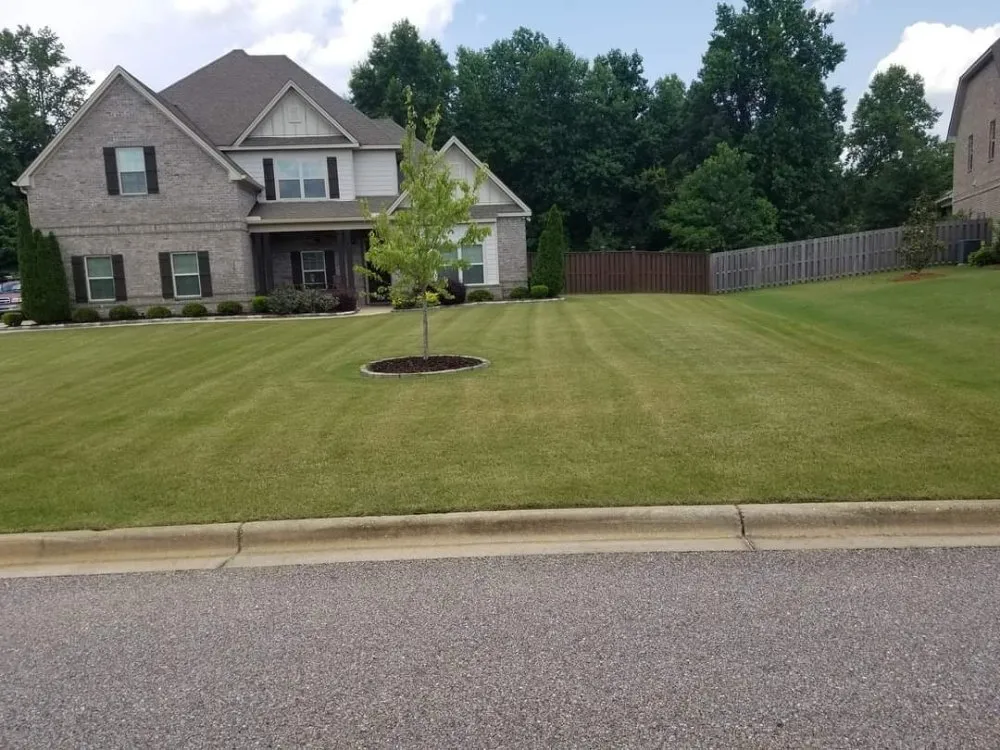 Top-rated yard maintenance for residential properties in Montgomery, AL by Joe's Lawn Care