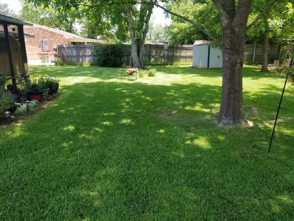 Reliable landscaping services with custom design in Montgomery, AL by Joe's Lawn Care