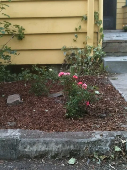 Custom landscape design in Moscow, ID by Joes Lawn Care