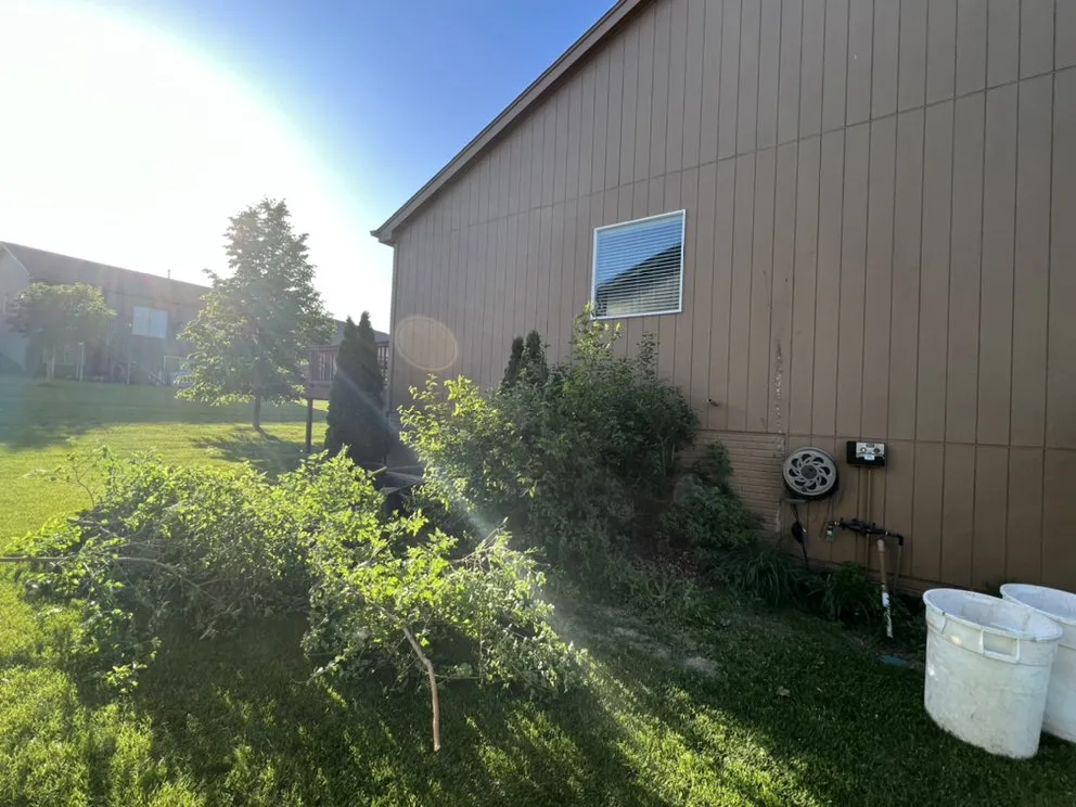 Professional yard cleanup service in Papillion, NE by Joes Lawn Care