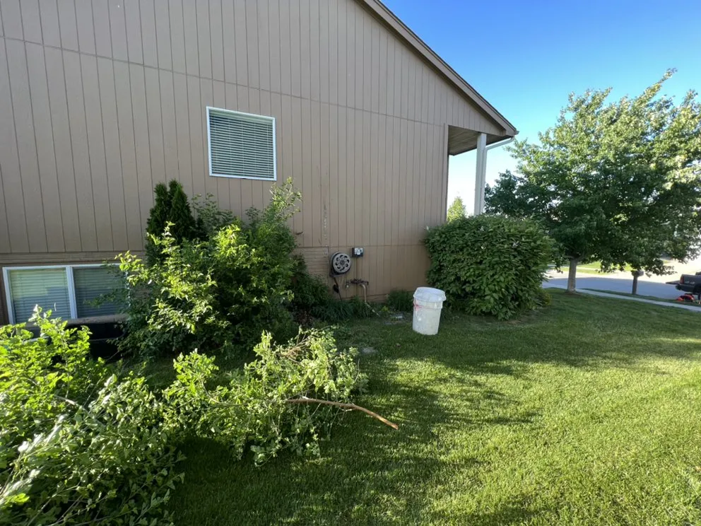 Affordable lawn mowing service for beautiful yards across Papillion, NE - Joes Lawn Care