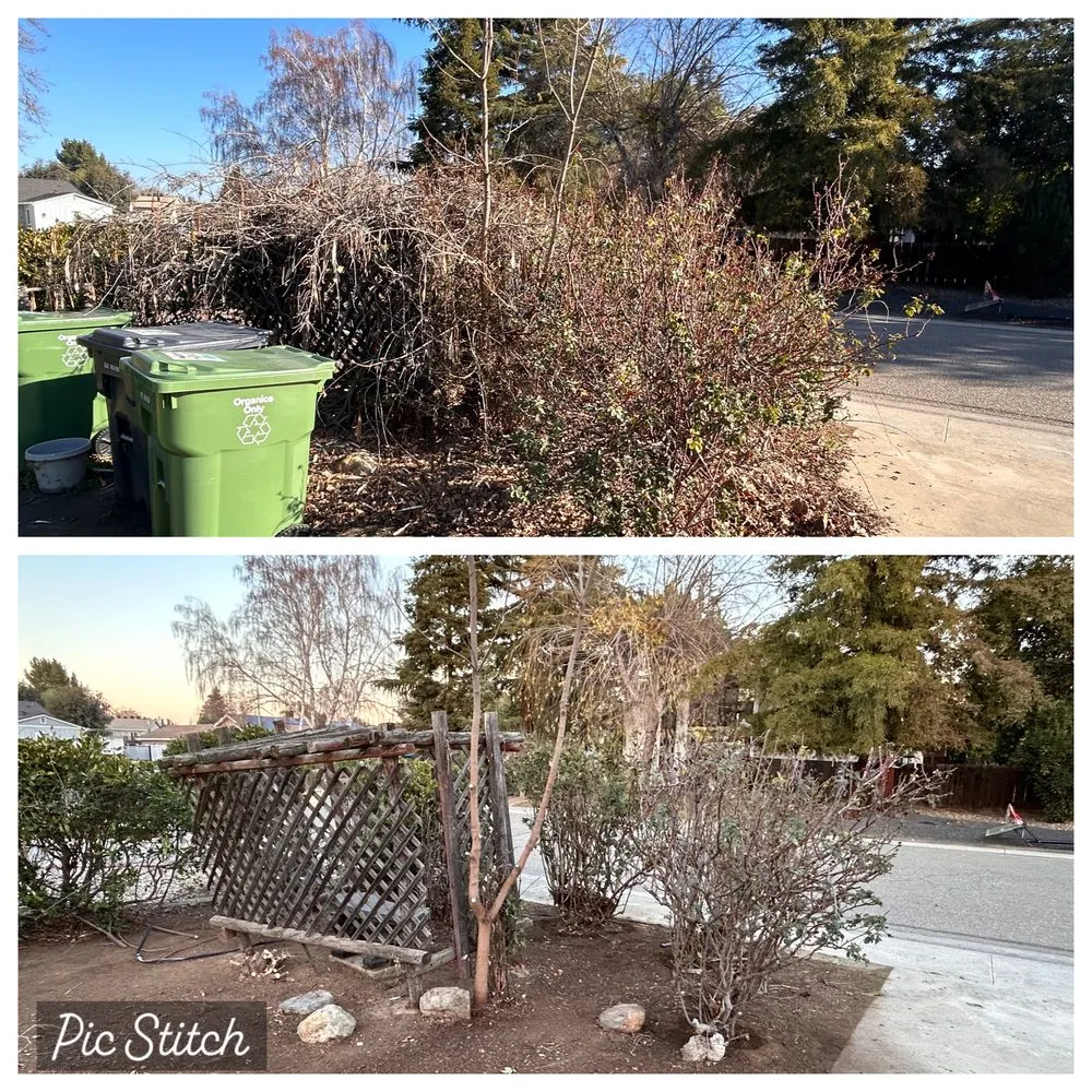 Affordable lawn care service experts serving Stockton, CA - Joe's Lawn Maintenance