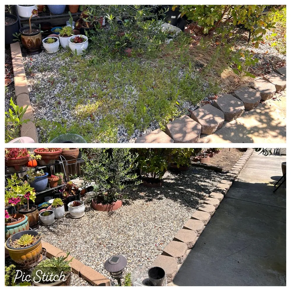 Top-rated landscaping services in Stockton, CA by Joe's Lawn Maintenance