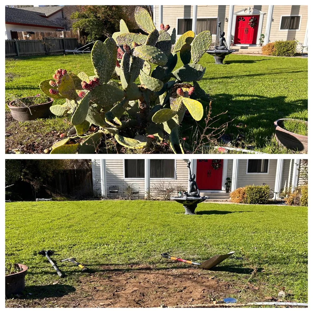 Professional outdoor landscaping in Stockton, CA - Joe's Lawn Maintenance