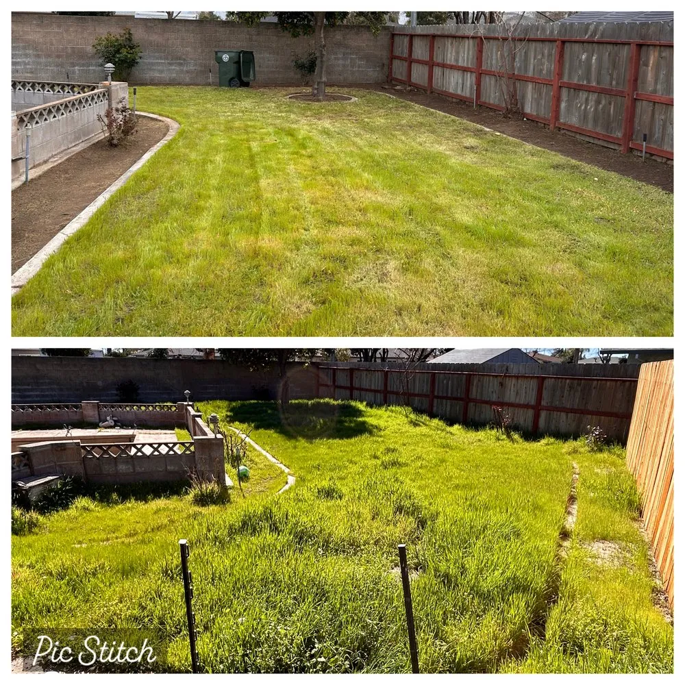 Local lawn mowing service for residential properties across Stockton, CA - Joe's Lawn Maintenance