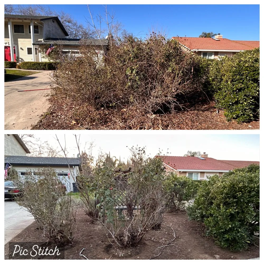 Expert lawn care service for year-round maintenance in Stockton, CA by Joe's Lawn Maintenance