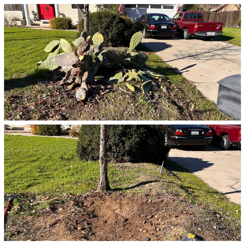 Reliable residential landscaping for homes in Stockton, CA by Joe's Lawn Maintenance