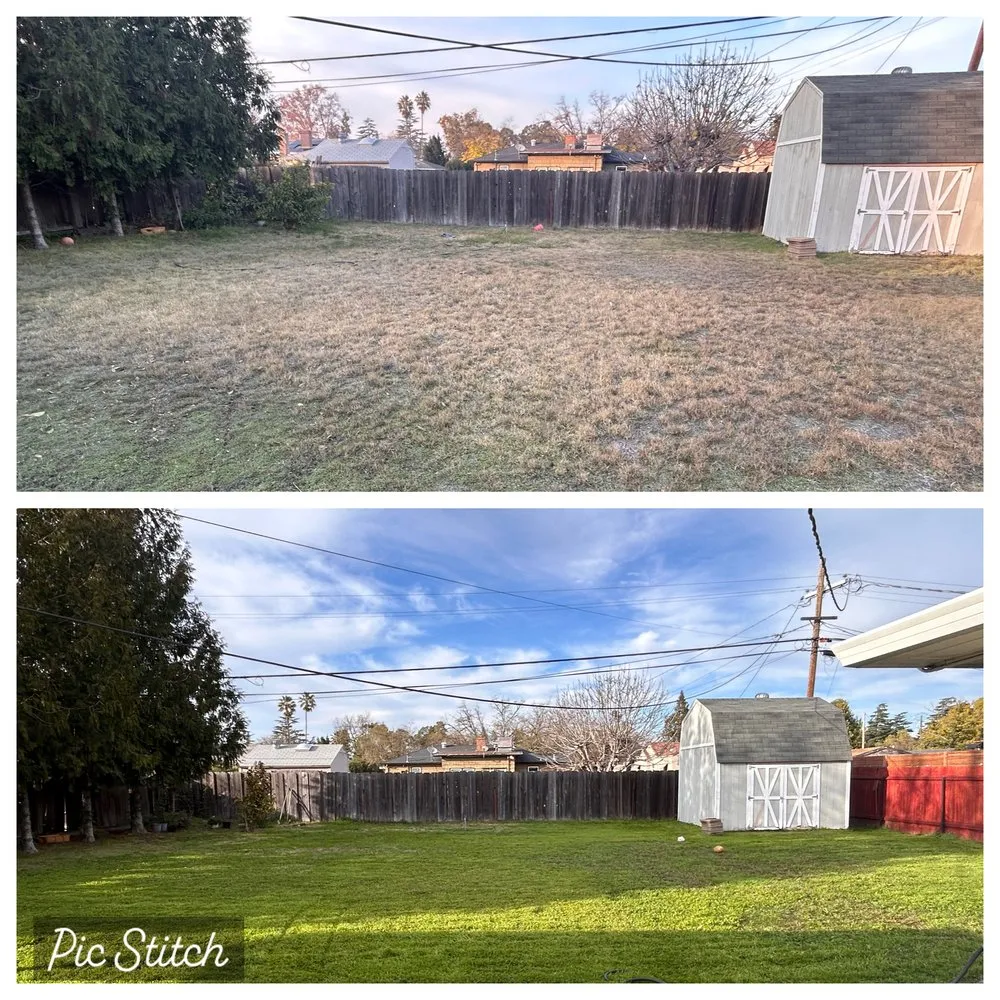 Professional lawn mowing service experts serving Stockton, CA - Joe's Lawn Maintenance