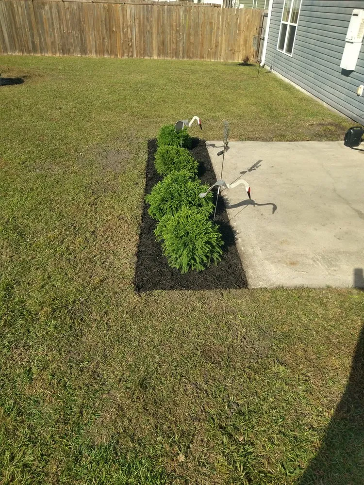 Local yard cleanup service for beautiful yards in Ernul, NC by Joe's Lawn Repair