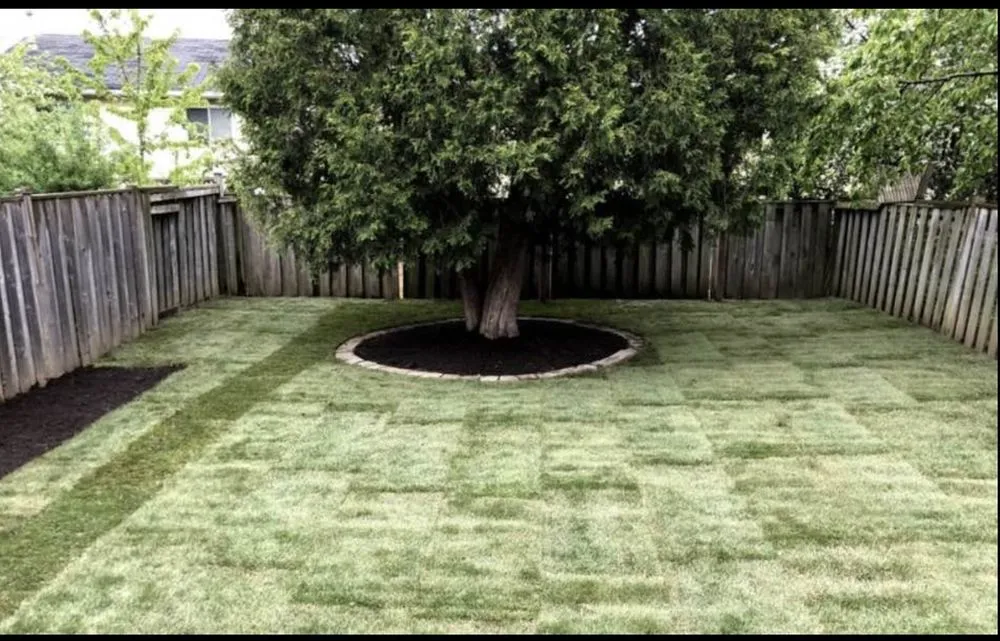 Trusted yard cleanup service with custom design in Mount Clemens, MI by Joe’s Lawn Service & Cleanups