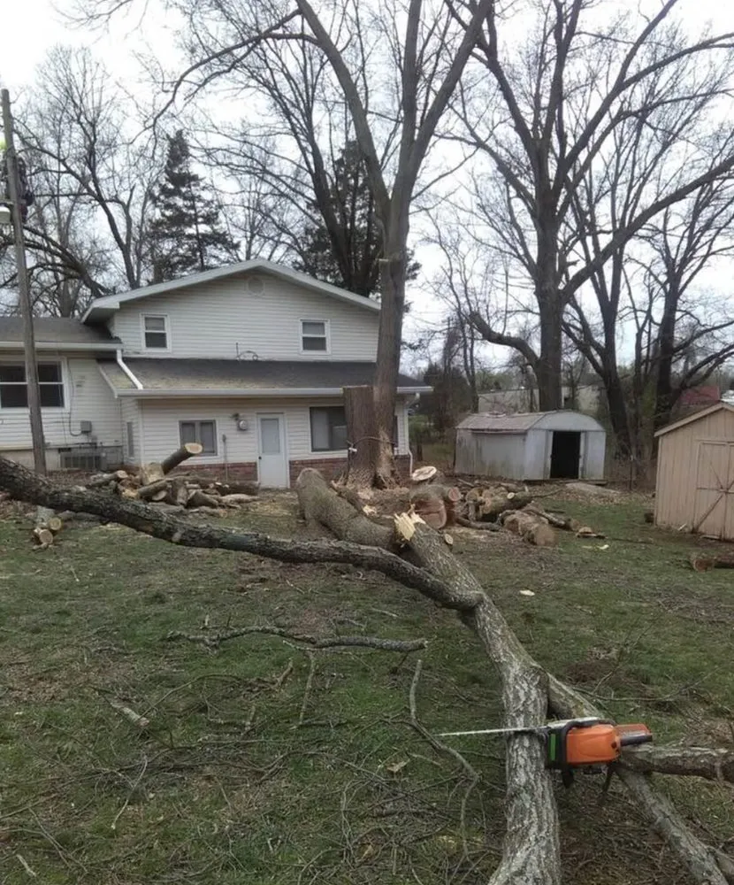 Expert yard cleanup service for beautiful yards in Mount Clemens, MI by Joe’s Lawn Service & Cleanups