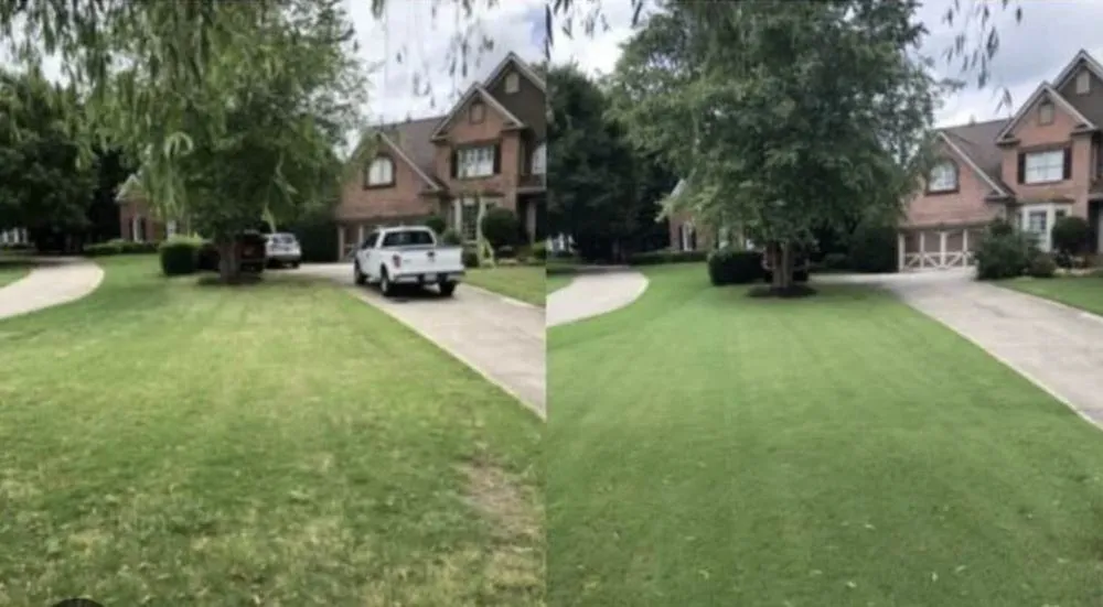 Trusted landscape design in Mount Clemens, MI by Joe’s Lawn Service & Cleanups