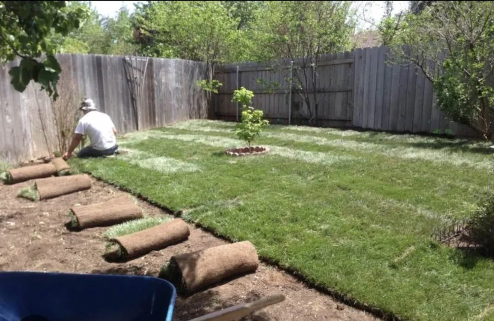 Affordable lawn mowing service near you across Mount Clemens, MI - Joe’s Lawn Service & Cleanups