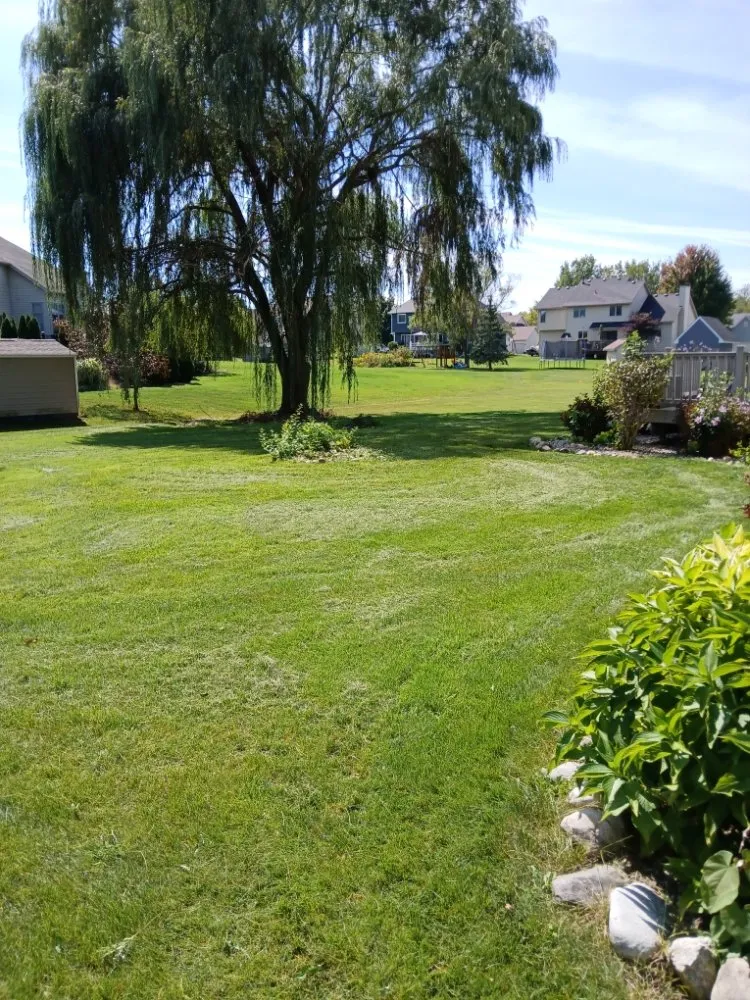 Custom landscaping services in Grand Blanc, MI by Joe's lawn service