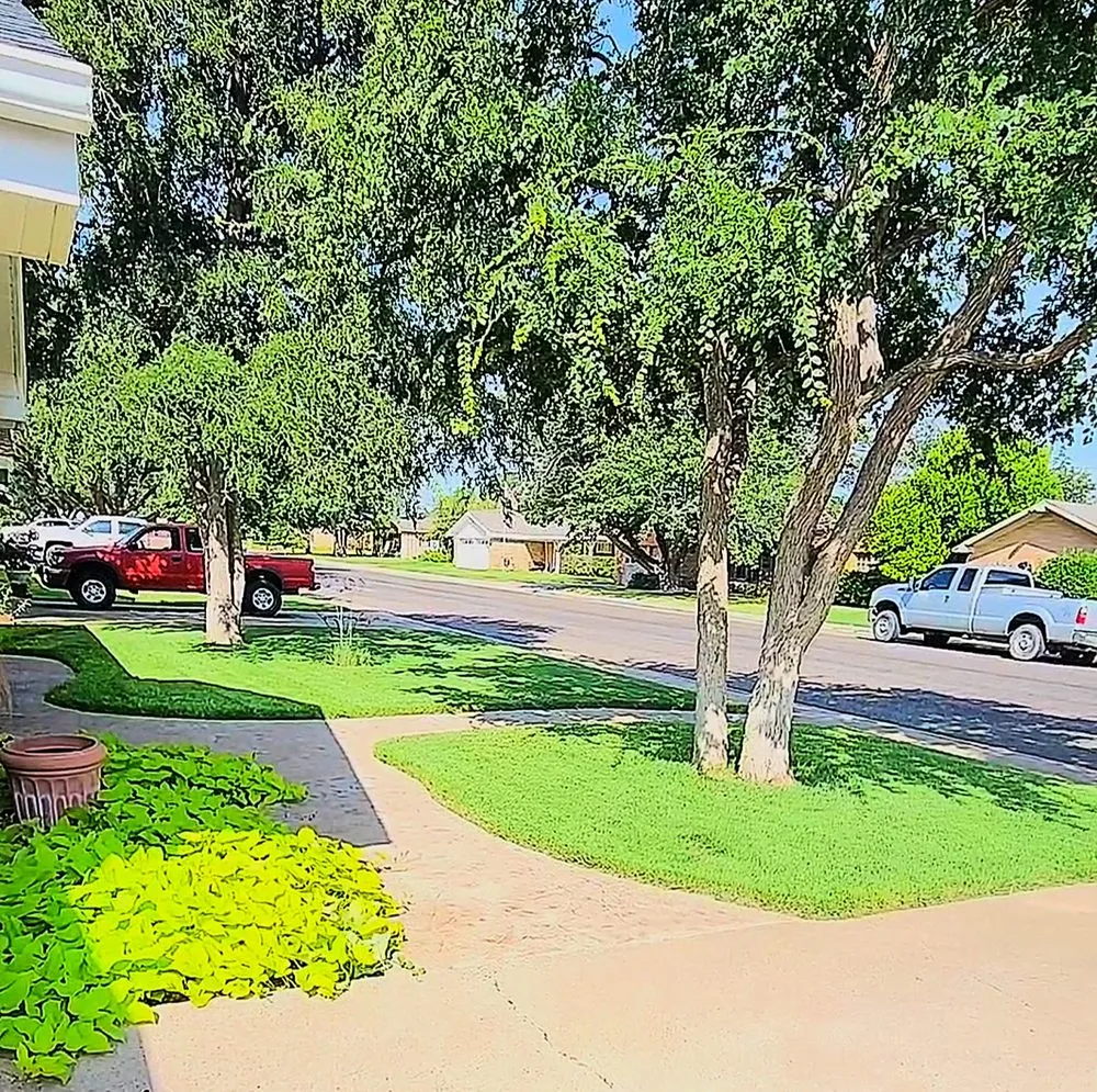 Expert yard maintenance in Odessa, TX - Joes Lawn Service