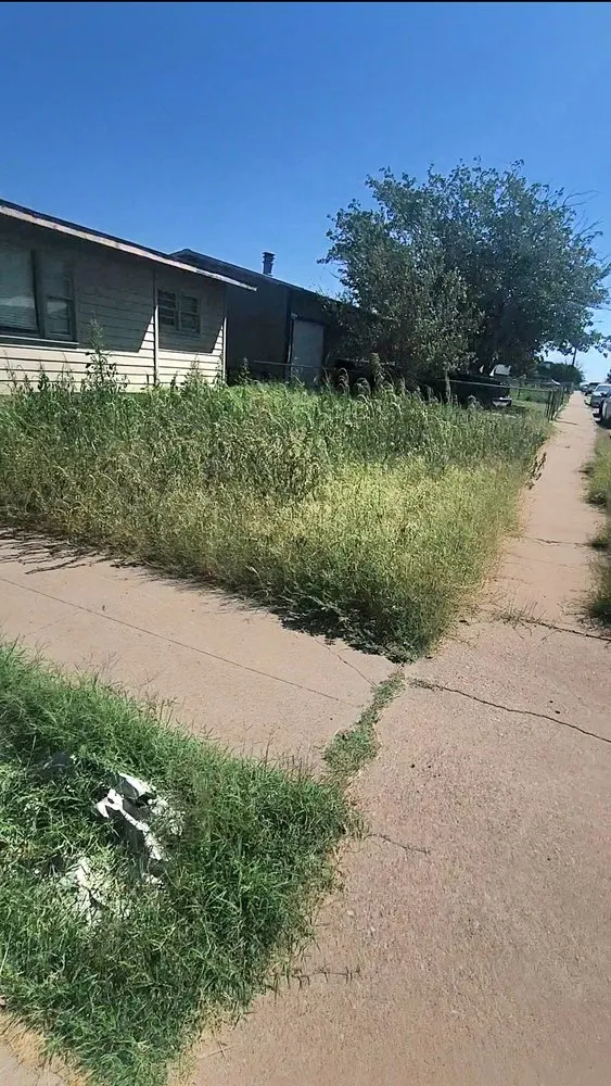 Professional landscape design experts serving Odessa, TX - Joes Lawn Service