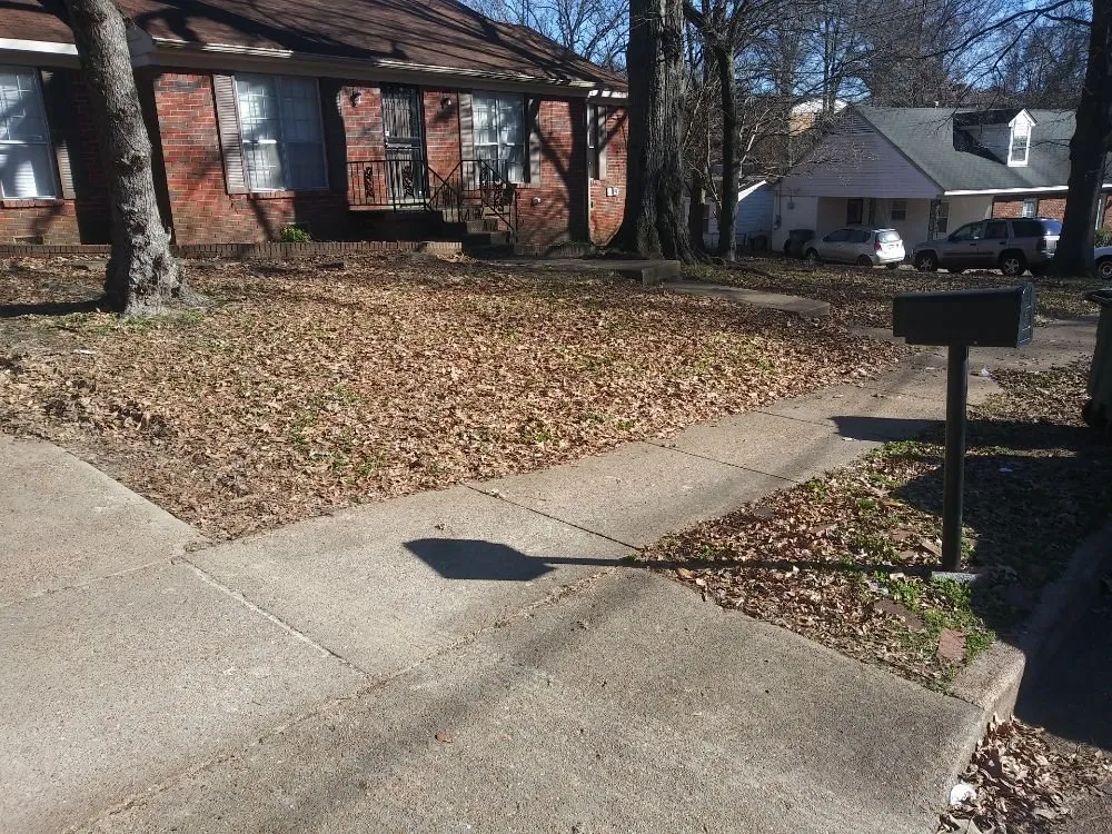 Trusted landscape design experts serving Millington, TN - Joe's LawnCare and Landscaping Solutions