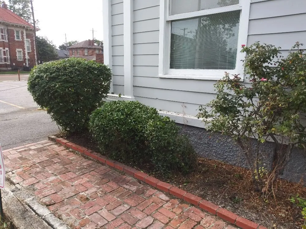 Affordable yard maintenance for year-round maintenance in Millington, TN by Joe's LawnCare and Landscaping Solutions