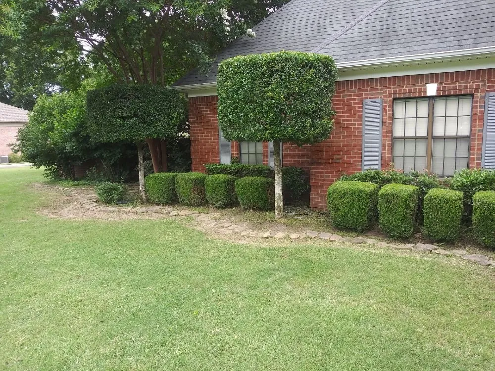 Top-rated yard cleanup service experts serving Millington, TN - Joe's LawnCare and Landscaping Solutions