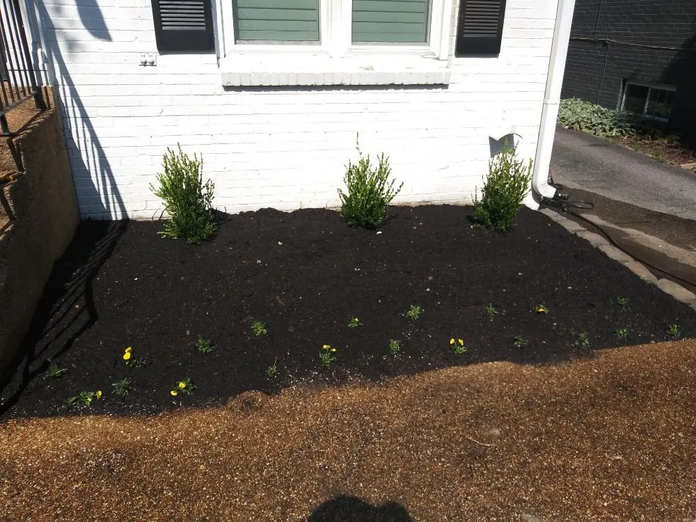 Affordable landscaping services with custom design in Millington, TN by Joe's LawnCare and Landscaping Solutions