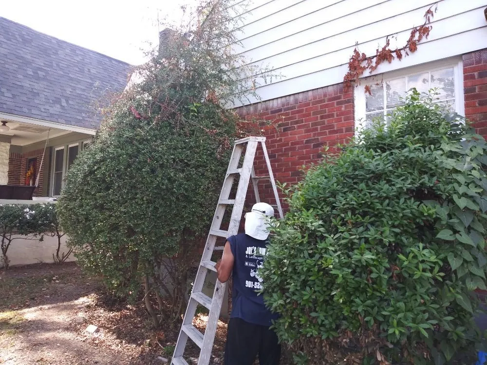 Custom garden landscaping for beautiful yards across Millington, TN - Joe's LawnCare and Landscaping Solutions