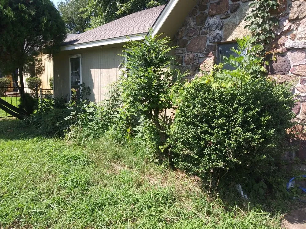 Custom lawn mowing service for beautiful yards across Millington, TN - Joe's LawnCare and Landscaping Solutions