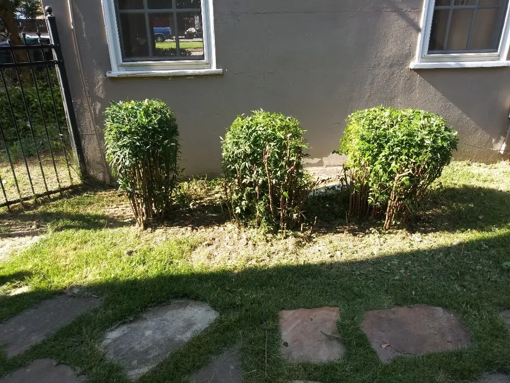 Top-rated outdoor landscaping in Millington, TN by Joe's LawnCare and Landscaping Solutions